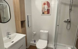 однокомнатная квартира в Санкт-Петербурге по адресу: Пахомовская ул., 10, к 3