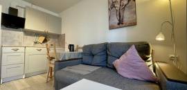 студия в Ленинградской области по адресу: Современников ул., 7