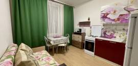 однокомнатная квартира в Ленинградской области по адресу: Европейский проспект, 8