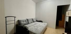 однокомнатная квартира в Ленинградской области по адресу: Европейский проспект, 8