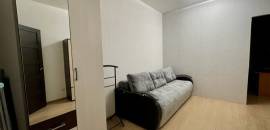 однокомнатная квартира в Ленинградской области по адресу: Европейский проспект, 8