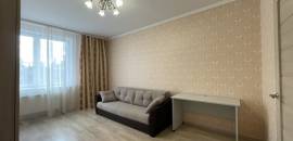 однокомнатная квартира в Ленинградской области по адресу: Областная ул., 1