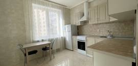 однокомнатная квартира в Ленинградской области по адресу: Областная ул., 1