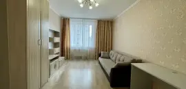 однокомнатная квартира в Ленинградской области по адресу: Областная ул., 1