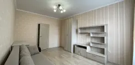 однокомнатная квартира в Ленинградской области по адресу: Областная ул., 1