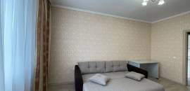 однокомнатная квартира в Ленинградской области по адресу: Областная ул., 1