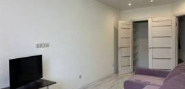 однокомнатная квартира в Ленинградской области по адресу: Шоссе в Лаврики ул., 55