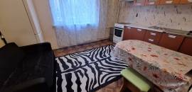 однокомнатная квартира в Санкт-Петербурге по адресу: Софьи Ковалевской ул., 14, к 6