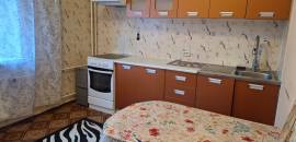 однокомнатная квартира в Санкт-Петербурге по адресу: Софьи Ковалевской ул., 14, к 6