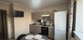 однокомнатная квартира в Санкт-Петербурге по адресу: Оптиков ул., 35, к 1