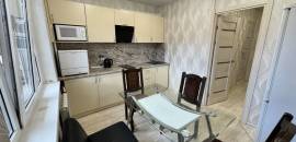 однокомнатная квартира в Санкт-Петербурге по адресу: Просвещения проспект, 7, к 1