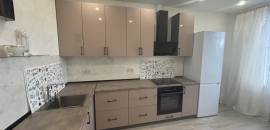 однокомнатная квартира в Санкт-Петербурге по адресу: Михаила Дудина ул., 25, к 1