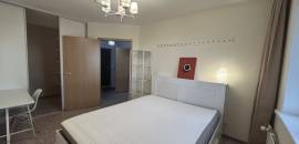 однокомнатная квартира в Санкт-Петербурге по адресу: Михаила Дудина ул., 25, к 1