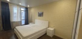 однокомнатная квартира в Санкт-Петербурге по адресу: Михаила Дудина ул., 25, к 1