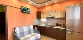 однокомнатная квартира в Санкт-Петербурге по адресу: Земледельческая ул., 5, к 2