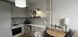 однокомнатная квартира в Санкт-Петербурге по адресу: Тосина ул., 1, к 2, строение 1