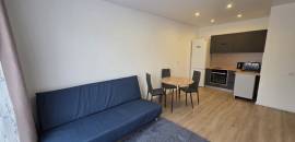 двухкомнатная квартира в Ленинградской области по адресу: Голландская ул., 14, к 1