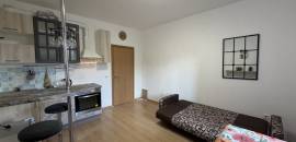 студия в Ленинградской области по адресу: Капральская ул., 15