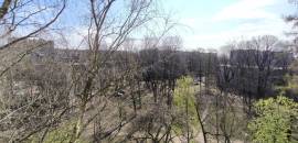 однокомнатная квартира в Санкт-Петербурге по адресу: Пархоменко проспект, 43