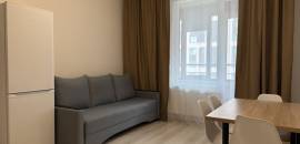 однокомнатная квартира в Санкт-Петербурге по адресу: Кузнецовская ул., 58, к 1