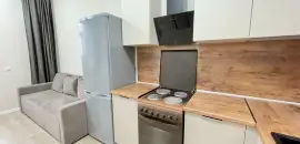 однокомнатная квартира в Ленинградской области по адресу: Ясная ул., 20, к 4