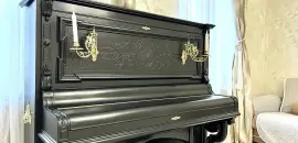 двухкомнатная квартира в Санкт-Петербурге по адресу: Конная ул., 5
