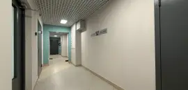 однокомнатная квартира в Санкт-Петербурге по адресу: Дальневосточный проспект, 27, к 3, строение 1
