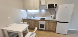 однокомнатная квартира в Ленинградской области по адресу: Голландская ул., 14, к 1