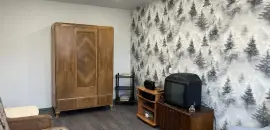 однокомнатная квартира в Санкт-Петербурге по адресу: Партизана Германа ул., 9, литера А