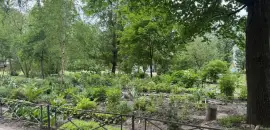 двухкомнатная квартира в Санкт-Петербурге по адресу: Красных Зорь б-р., 7