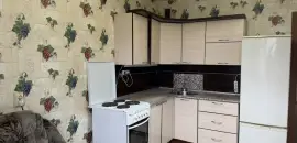 однокомнатная квартира в Санкт-Петербурге по адресу: Коллонтай ул., 17, к 4