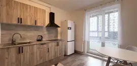 однокомнатная квартира в Санкт-Петербурге по адресу: Михайловская дорога., 6