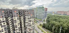 однокомнатная квартира в Ленинградской области по адресу: Европейский проспект, 20, к 4