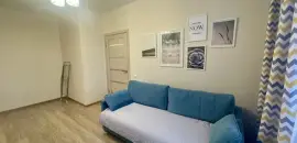 однокомнатная квартира в Ленинградской области по адресу: Областная ул., 3
