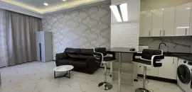 однокомнатная квартира в Санкт-Петербурге по адресу: Катерников ул., 10, к 1, литера а