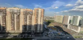 однокомнатная квартира в Санкт-Петербурге по адресу: Шуваловский проспект, 41