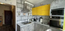 однокомнатная квартира в Санкт-Петербурге по адресу: Камышовая ул., 46