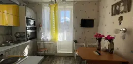 однокомнатная квартира в Санкт-Петербурге по адресу: Камышовая ул., 46
