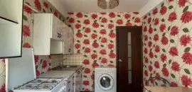 однокомнатная квартира в Санкт-Петербурге по адресу: Пискарёвский проспект, 10