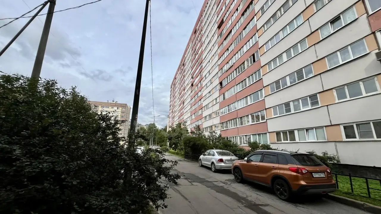 однокомнатная квартира в Санкт-Петербурге по адресу: Энгельса проспект, 113, к 2