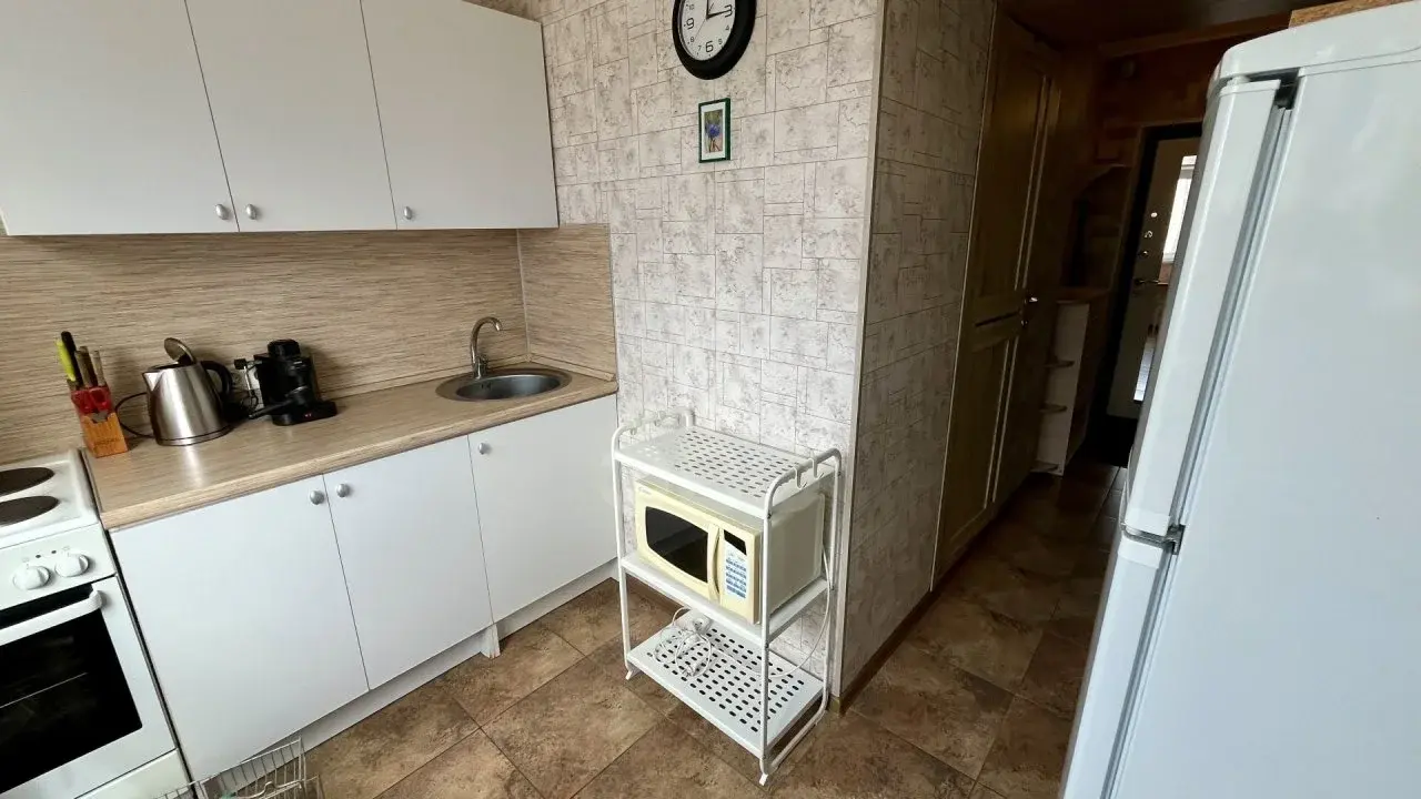 однокомнатная квартира в Санкт-Петербурге по адресу: Энгельса проспект, 113, к 2