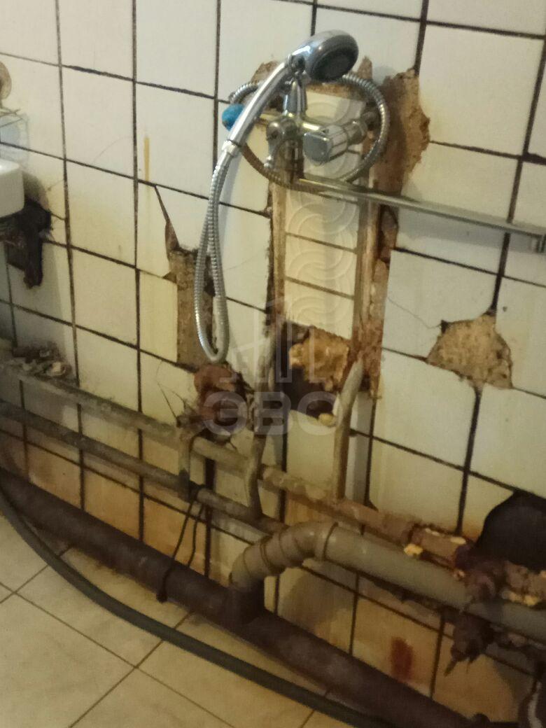 комната в Санкт-Петербурге по адресу: Композиторов ул., 24, к 3