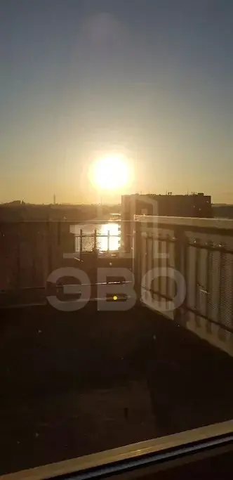 двухкомнатная квартира в Санкт-Петербурге по адресу: Тарасова ул., 8, к 2