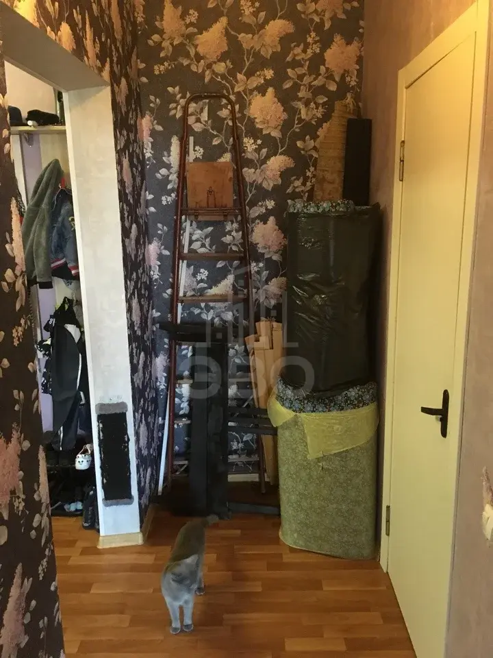 однокомнатная квартира в Санкт-Петербурге по адресу: Ленинский проспект, 53, к 1