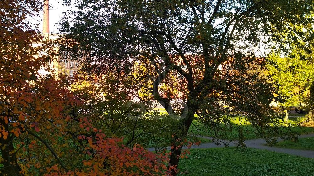 комната в Санкт-Петербурге по адресу: Фарфоровская ул., 14