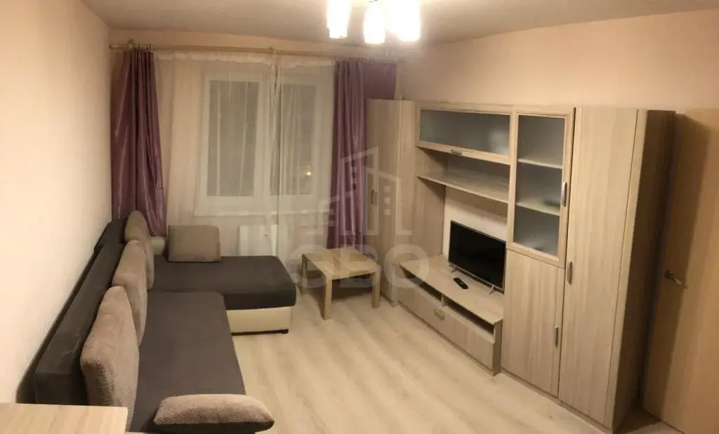 однокомнатная квартира в Санкт-Петербурге по адресу: Михаила Дудина ул., 12