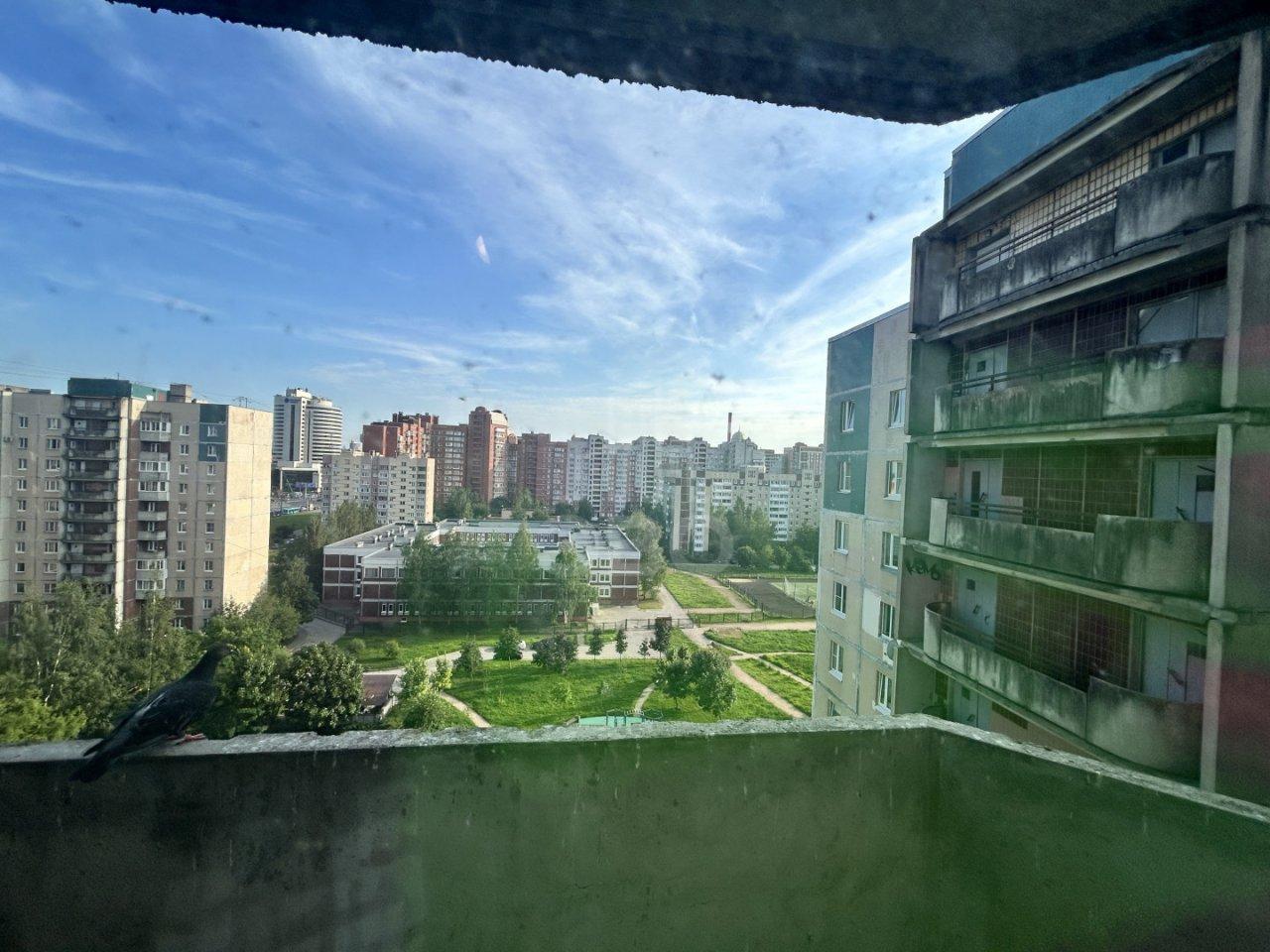 однокомнатная квартира в Санкт-Петербурге по адресу: Камышовая ул., 2