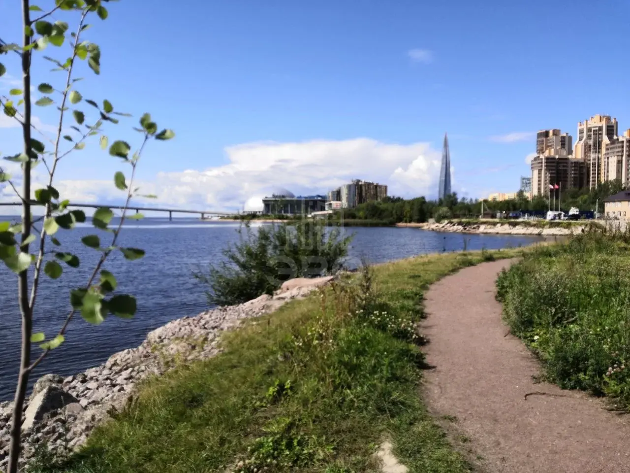 однокомнатная квартира в Санкт-Петербурге по адресу: Приморский проспект, 62, к 1, литера а