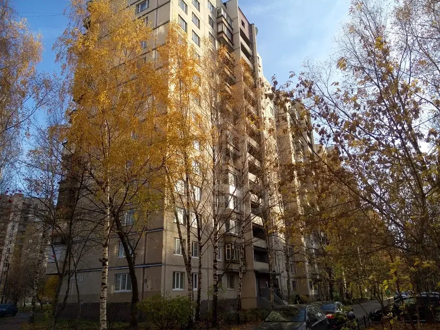 двухкомнатная квартира в Санкт-Петербурге по адресу: Кржижановского ул., 7