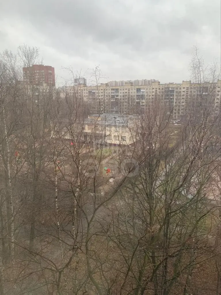 однокомнатная квартира в Санкт-Петербурге по адресу: Подвойского ул., 14, к 1